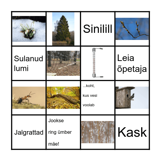 Kevade märkamise bingo Card