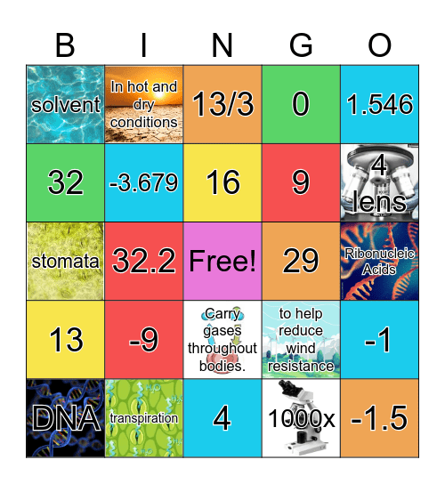 SMART Bingo S.1/7🎉 Bingo Card