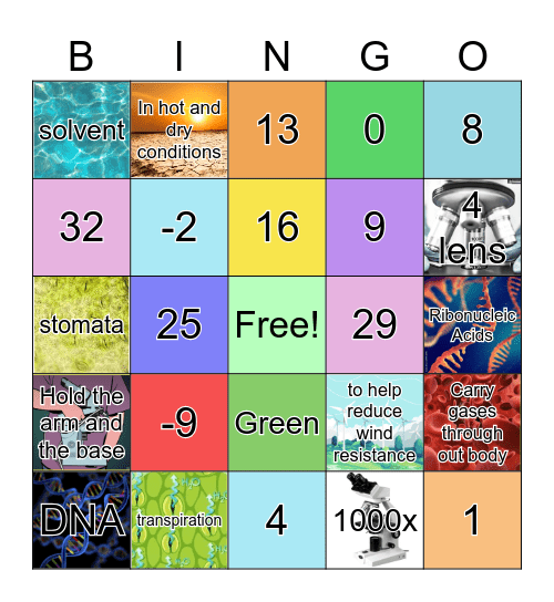 SMART Bingo S.1/7🎉 Bingo Card