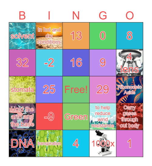 SMART Bingo S.1/7🎉 Bingo Card