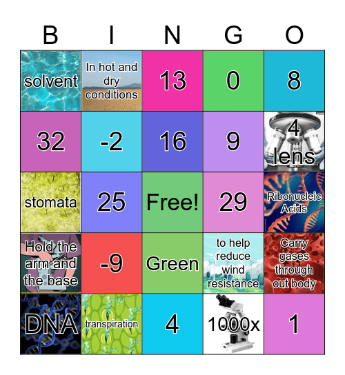 SMART Bingo S.1/7🎉 Bingo Card