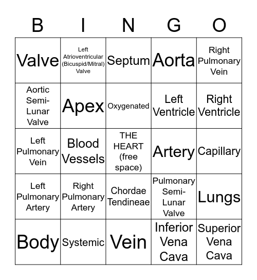 Circulatory System Bingo! Bingo Card