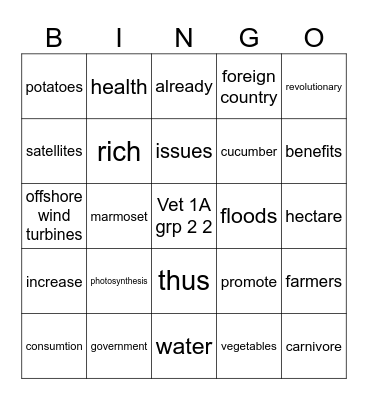 Vet 1 A grp 1 1 Bingo Card