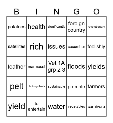 Vet 1 A grp 1 1 Bingo Card