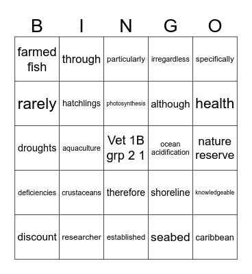 Vet 1 B Bingo Card