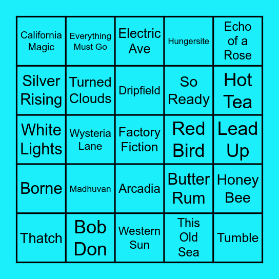 Euro-Goose 2.0 Bingo Card