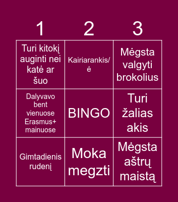 VU KF SOCIALINIAI VAKARAI Bingo Card