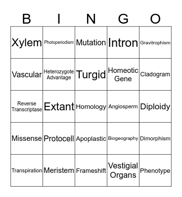 Vocabulary Review Bingo Card