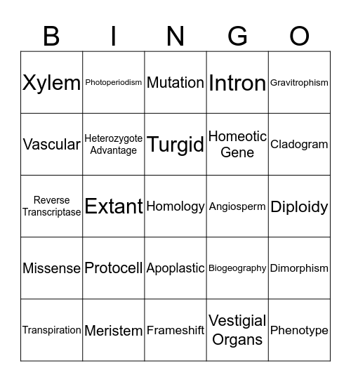 Vocabulary Review Bingo Card