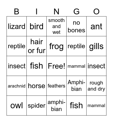 Animal Groups Bingo Card