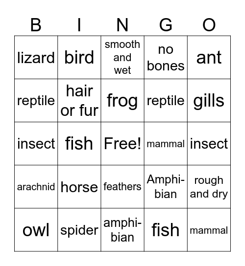 Animal Groups Bingo Card