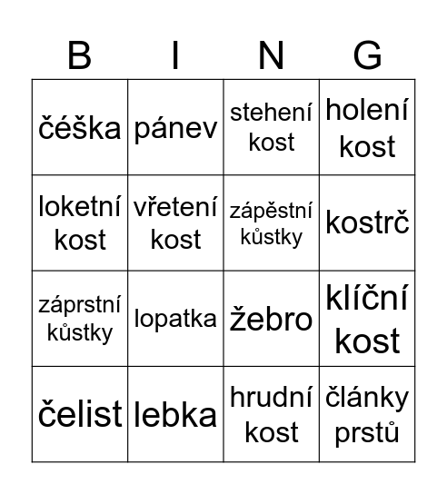 kosti Bingo Card