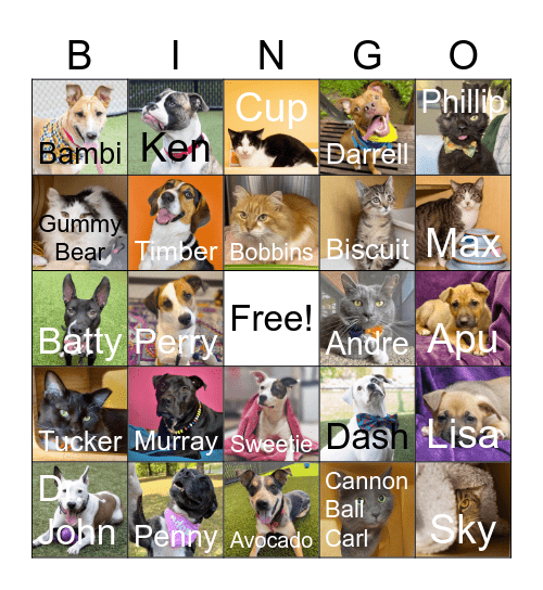 Shelter Bingo Card