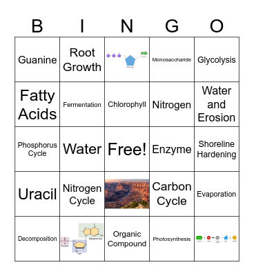 Exam 2 Review Bingo Card