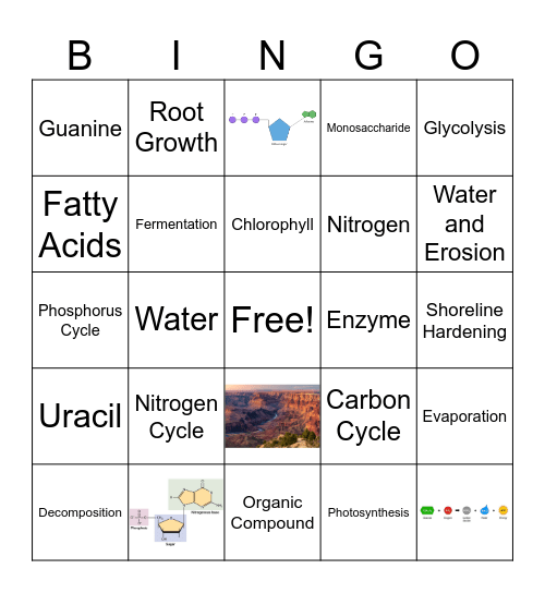 Exam 2 Review Bingo Card