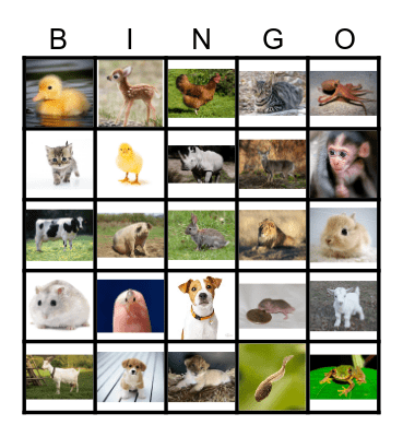 Baby Animals and Adult Animals Bingo Card