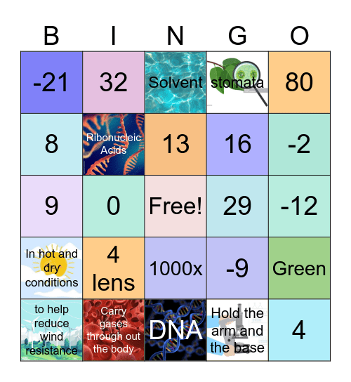 SMART Bingo S.1/7🎉 Bingo Card