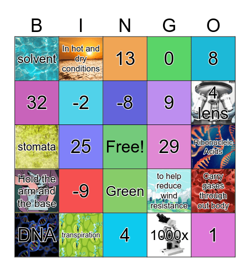 SMART Bingo S.1/7🎉 Bingo Card
