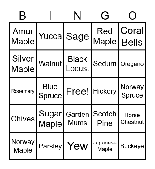 Plant Review Bingo Card