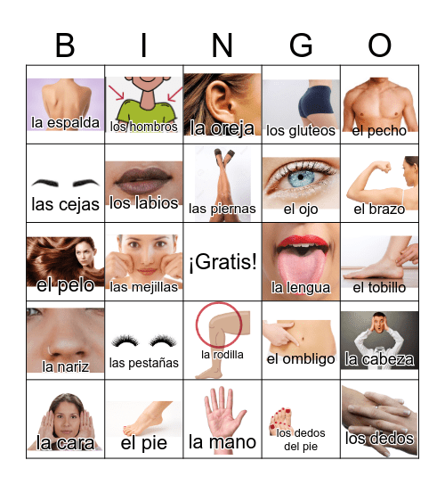 Las partes del cuerpo Bingo Card