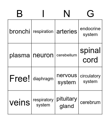 Chapter 17.2 and 17.4 Bingo Card
