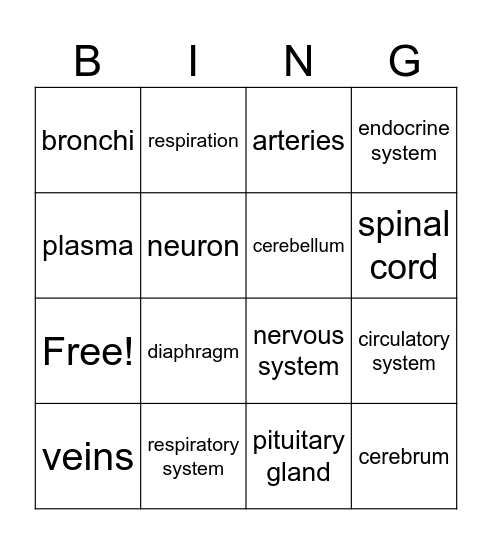 Chapter 17.2 and 17.4 Bingo Card