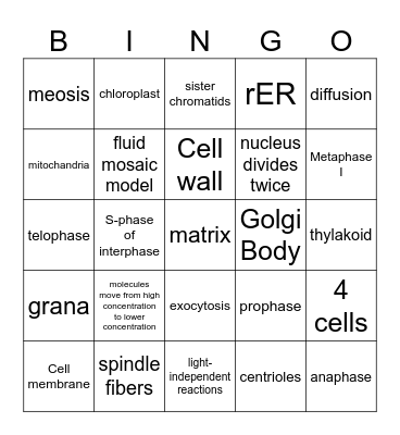 End of T1 Bingo Card