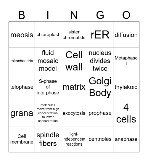 End of T1 Bingo Card