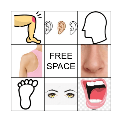 Les parties du corps Bingo Card