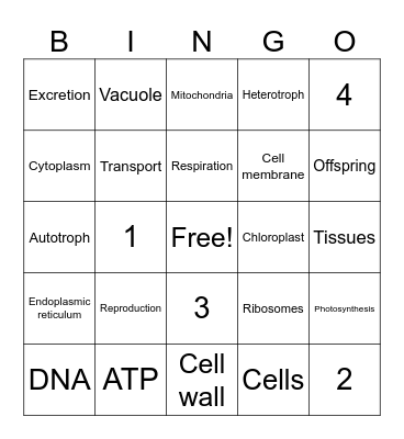 1st Quarter Quarterly 2023 Bingo Card
