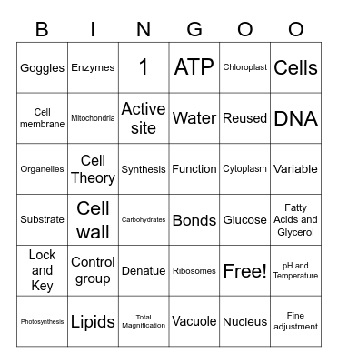 1st Quarter Quarterly Review Bingo Card