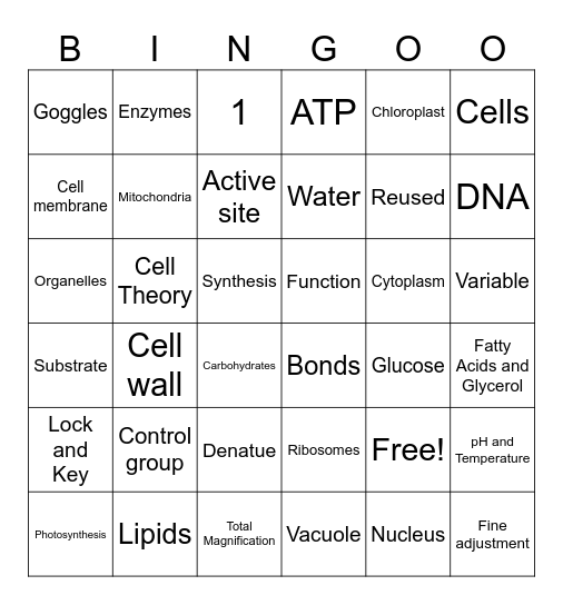 1st Quarter Quarterly Review Bingo Card