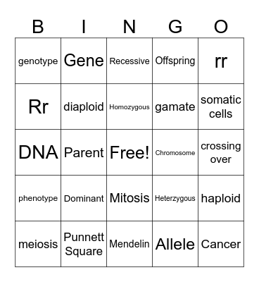 Unit 6 Genetics Bingo Card