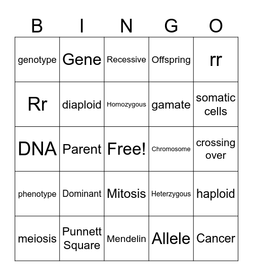 Unit 6 Genetics Bingo Card