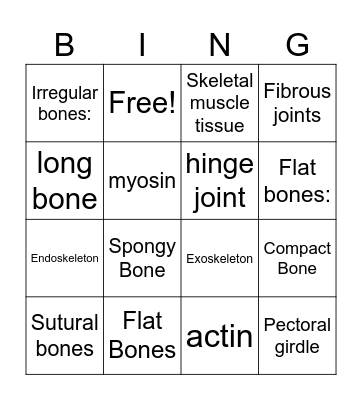 Musculoskeletal System Bingo Card