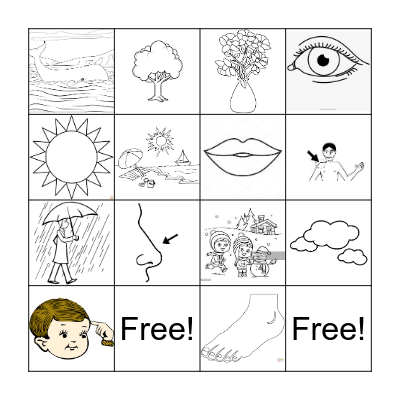 P2 - 2ºano - 4ºbi Bingo Card