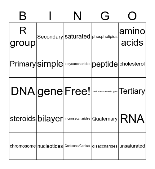 Unit 3 Bingo Review Bingo Card