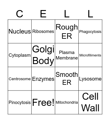 CELL Bingo Card