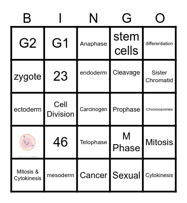 Mitosis Bingo Card