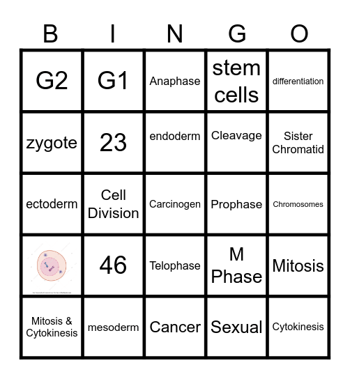 Mitosis Bingo Card