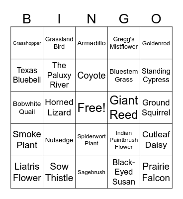 number 2 Bingo Card