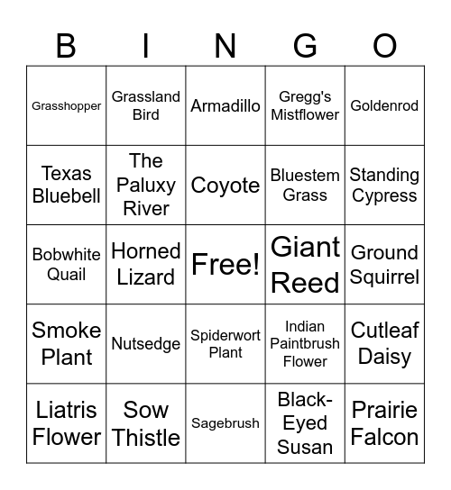 number 2 Bingo Card