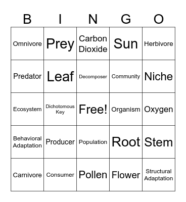 All About Ecosystems Bingo Card