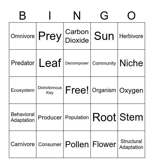 All About Ecosystems Bingo Card
