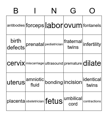 Pregnancy, Labor & Delivery Bingo Card