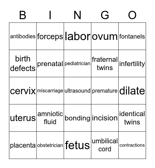 Pregnancy, Labor & Delivery Bingo Card