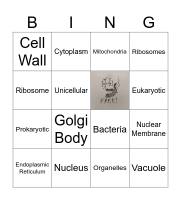 Elements of a Cell Bingo Card