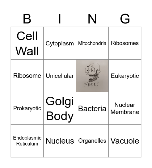 Elements of a Cell Bingo Card