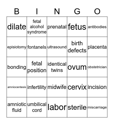 Pregnancy, Labor & Delivery Bingo Card