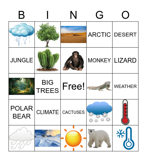 CLIMATE Bingo Card